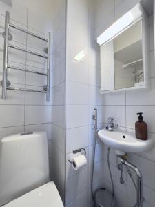 Koupelna v ubytování Dainty Central Apartment Helsinki