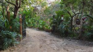 um portão numa floresta com uma estrada de terra em Pousada Donalu - Vale do Capão em Vale do Capão