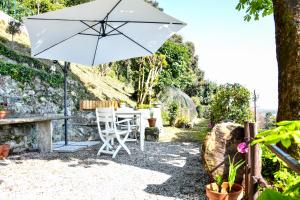 Zahrada ubytování Villa Antonella, app. Vittoria