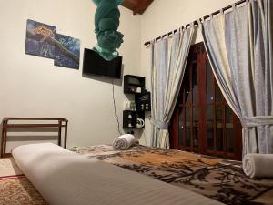 una camera da letto con un letto, una tv e una finestra di Cozy Heaven a Nuwara Eliya