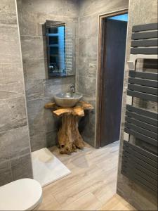 une salle de bain avec un lavabo et des toilettes dans une chambre dans l'établissement Chalet L'envolée Bleue, à Xonrupt-Longemer