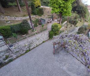 Zahrada ubytování Villa Antonella, app. Vittoria
