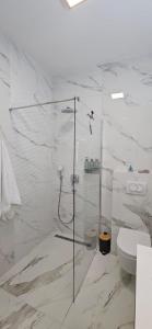 een badkamer met een glazen douche met toilet bij Dii Luxury Apartments in Trogir