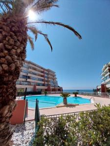 une piscine avec un palmier en face d'un bâtiment dans l'établissement 1 CHAMBRE, VUE MER, ACCES DIRECT PLAGE, à Sète