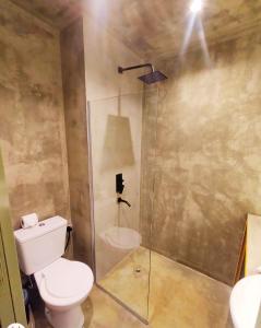 メンドーサにあるHotel Windsor Mendozaのバスルーム(トイレ、ガラス張りのシャワー付)