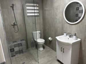 杰米斯顿Marielitsa Guest Suite No 9的带淋浴、马桶和水槽的浴室