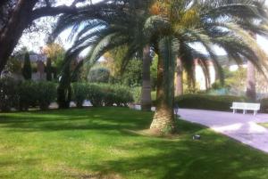 a park with palm trees and a bench in the grass at Magnifique appartement in Antibes