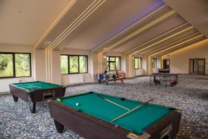 Τραπέζι μπιλιάρδου στο Pension Lidana Resort & SPA
