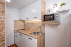Kuchnia lub aneks kuchenny w obiekcie Apartments Villa Temer