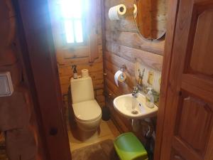 Koupelna v ubytování Holiday Home Dālderi + 19 fotografií