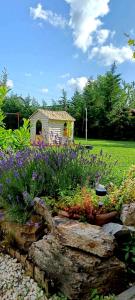 un jardín con flores púrpuras y un pequeño cobertizo en A Zoldbiciklis Haz, en Egerszalók