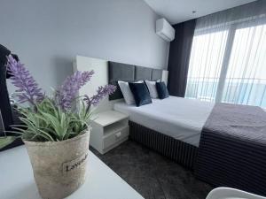 a bedroom with a bed and a potted plant on a table at AGATA BEACH Boutique Adult Only in Ahtopol