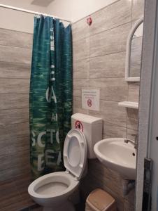 a bathroom with a toilet and a sink at Vila Katerina Dojran in Sretenovo