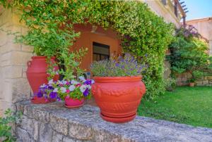 A garden outside La luna house
