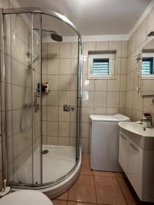 a bathroom with a shower and a toilet and a sink at Lumbarda, Korcula apartment near the beach in Lumbarda