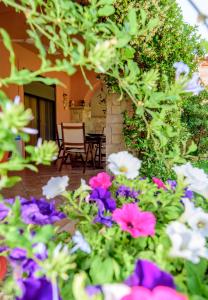 A garden outside La luna house