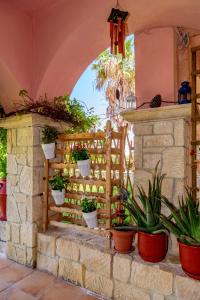 A garden outside La luna house
