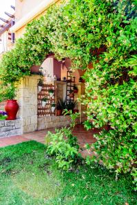A garden outside La luna house