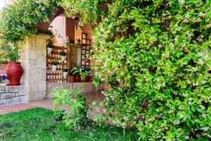 A garden outside La luna house
