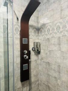 ein Badezimmer mit Dusche mit Glastür in der Unterkunft VeroDeLux in Şelimbăr