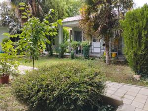 a house with trees and plants in the yard at Vila Katerina Dojran in Sretenovo