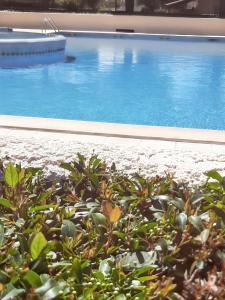 uma piscina azul com plantas em frente em Maison de 2 chambres avec piscine partagee jardin clos et wifi a Eyguieres em Eyguières