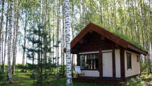 a small cabin with a chair in the woods at Pedaja Puhketalu in Nulga