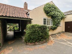 a house with an ivy growing on the side of it at Ivy in Filey
