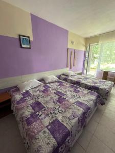 a bedroom with two beds and a purple wall at Хотел РИВА in Golden Sands