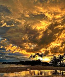 una puesta de sol en una playa con palmeras y nubes en Pousada Sol e Mar en Morro de São Paulo