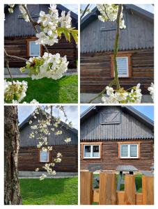 Φωτογραφία από το άλμπουμ του Chata Miła Agroturystyka σε Dębowiec