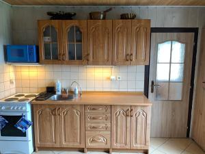 kuchnia z drewnianymi szafkami, zlewem i kuchenką w obiekcie Lesanka w mieście Všelibice