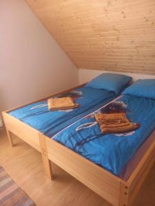 a bedroom with two twin beds with blue sheets at Narcise kulcsoshaz in Joseni