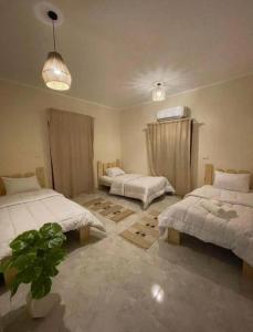 Postel nebo postele na pokoji v ubytování Dahab Motel