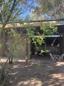 a building with a table and chairs in a yard at Pringle Cottage in Benoni
