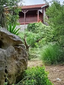 a house in the background with a yard with trees and bushes at Quinta do Castelo, Casa de Campo de Pedra in Reguengo Grande