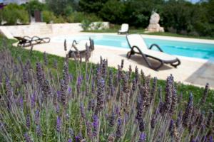 The swimming pool at or close to Antica Aia B&B