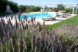 The swimming pool at or close to Antica Aia B&B