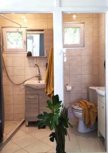 W łazience znajduje się toaleta, umywalka i lustro. w obiekcie Panoráma Vendégház w mieście Tahitótfalu
