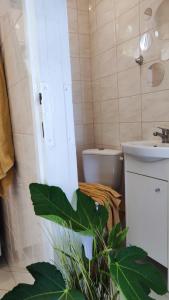 a bathroom with a toilet and a sink at Panoráma Vendégház in Tahitótfalu