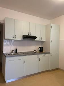 Kuchyň nebo kuchyňský kout v ubytování Sunrise apartment + 13 fotografií