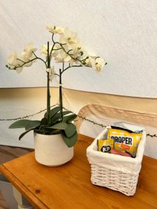 Afbeelding uit fotogalerij van Bluebell in Holsworthy