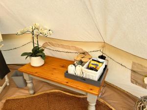 Afbeelding uit fotogalerij van Bluebell in Holsworthy