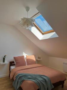 a bedroom with a bed and a skylight at Appartement Zola in Troyes