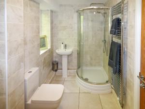 a bathroom with a shower and a toilet and a sink at Bryn Golau in Llangollen +31 photos
