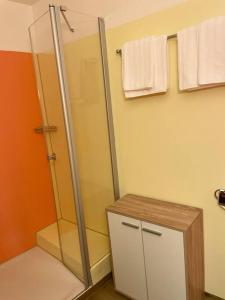 a bathroom with a shower and a cabinet and towels at FeWo 57 - Appartement im Rottalblick - Helle Kuschelecke genießen mit Bademantelgang zur Therme, TV, inkl Stellplatz im Haus u Kurtaxe in Bad Griesbach
