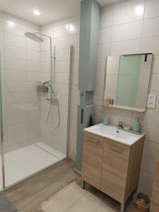 a bathroom with a shower and a sink and a shower at L'appart' Centre ville 3 chambres in Rethel