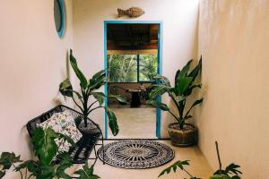 a room with plants and a chair and a mirror at Casa Cocos Bungalow en Playa La Ropa Zihua con AC in Zihuatanejo