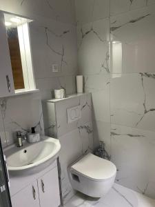 a white bathroom with a toilet and a sink at Seaside Susanj apartment in Bar