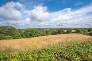 Příroda nedaleko prázdninového domu